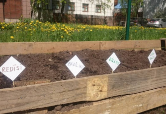 Greens on the window sill and our own garden – it’s possible in the kindergarten as well